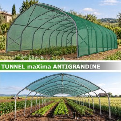 Struttura serra Tunnel maXima ad arco