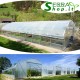 Serra FullGreen 6m professionale tunnel agricolo