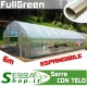 Serra FullGreen 6m professionale tunnel agricolo