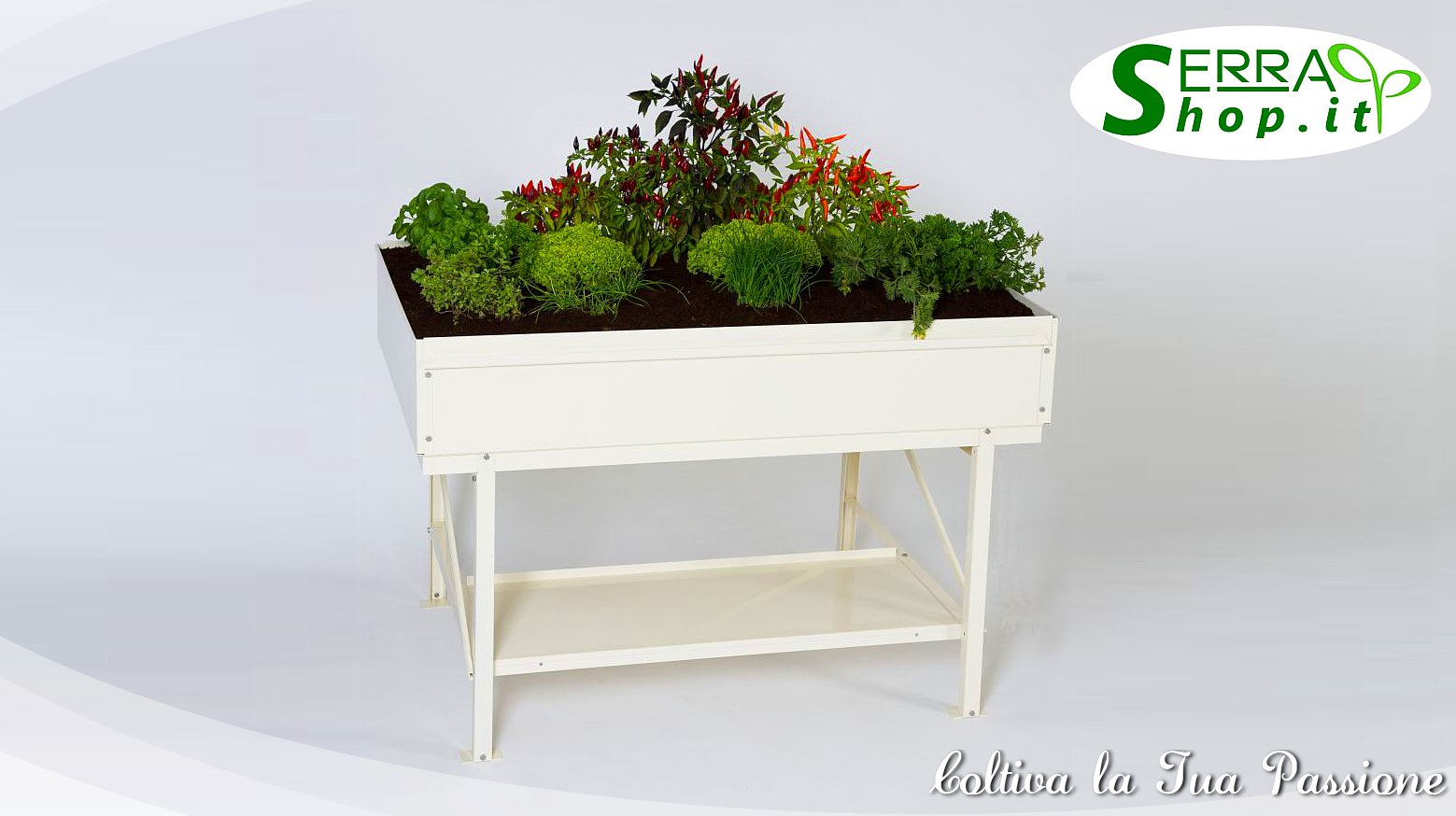 banco tavolo di lavoro semenzaio piante bancone serra serrashop casa giardino