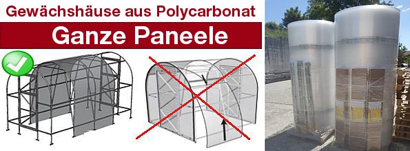 Tunnel Gewächshaus aus Polycarbonat