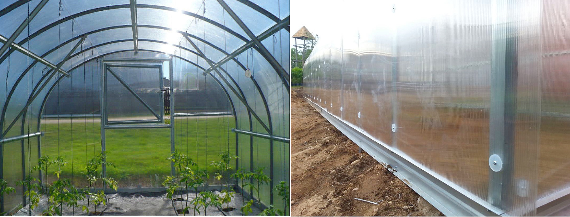 Tunnel Gewächshaus aus Polycarbonat