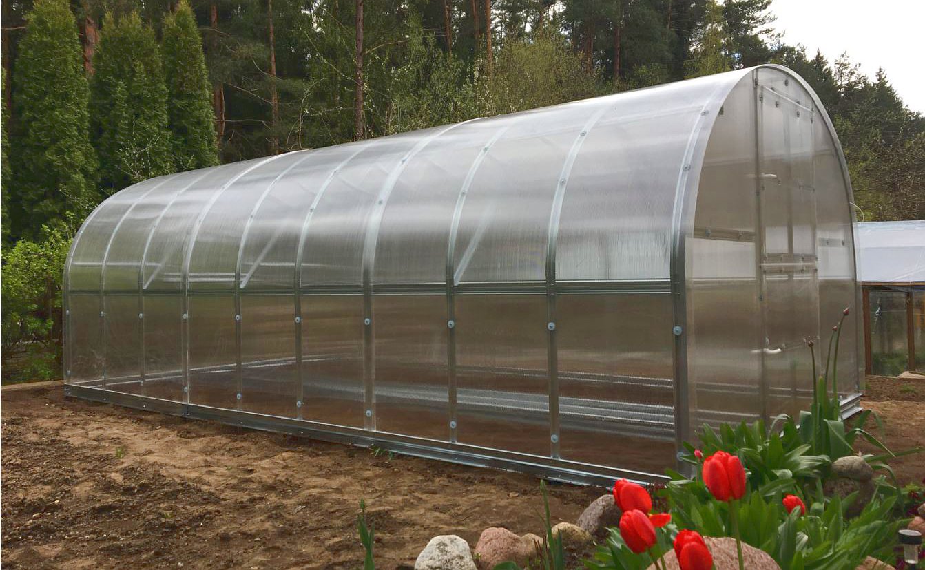 Tunnel Gewächshaus aus Polycarbonat