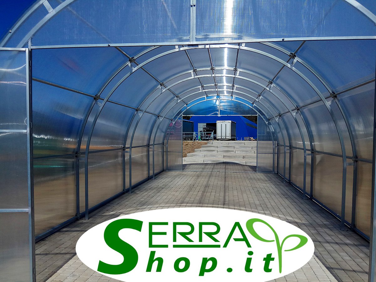 serra professionale tunnel policarbonato