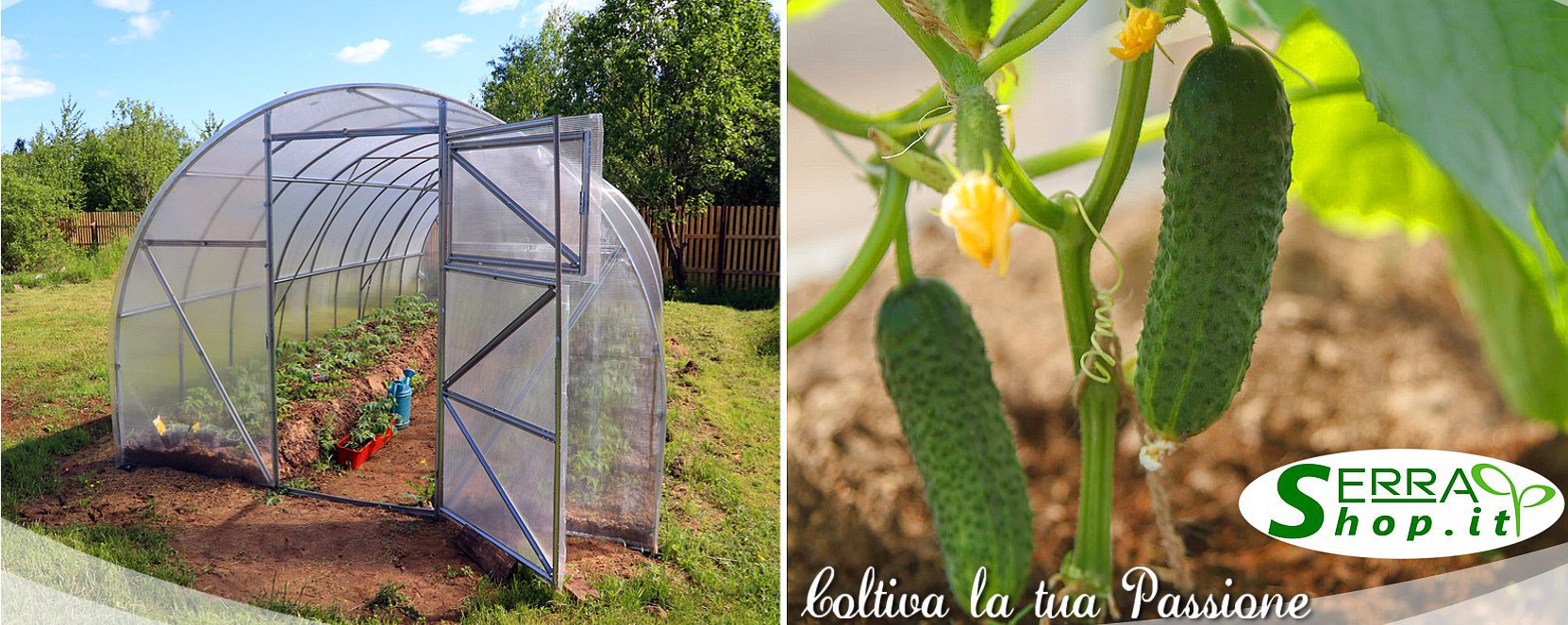 serra tunnel arco policarbonato 4mm classic serrashop