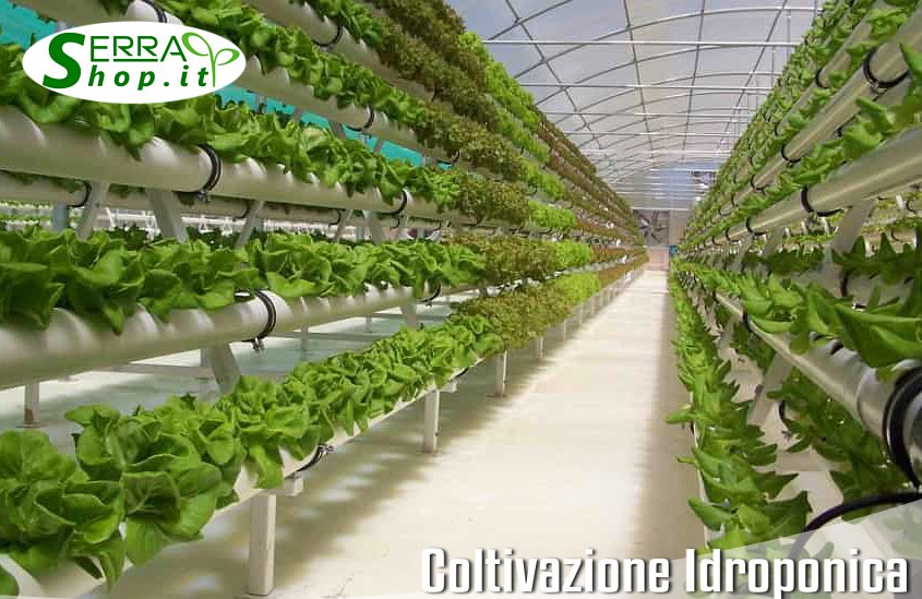 coltivazione idroponica agricoltura attrezzatura serrashop