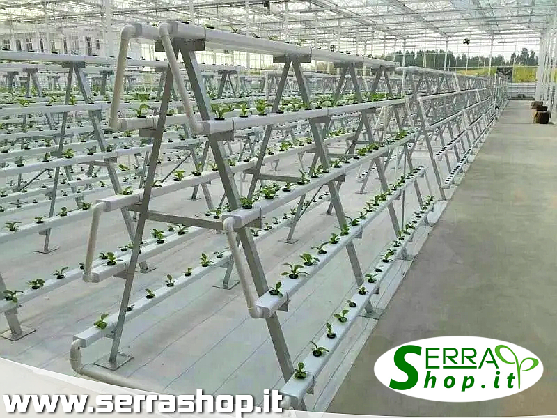 serra tunnel arco policarbonato 4mm hause serrashop          Sistema irrigazione  La coltivazione idroponica a torre comprende un sistema di irrigazione innovativo ed efficace , totalmente privo di sprechi ed altamente efficiente.  Un circuito ad acqua alimentato da una pompa che regola il flusso necessario per la perfetta idratazione e nutrimento delle piante.    SISTEMA MODULABILE sistema muro idroponica coltivazione agri