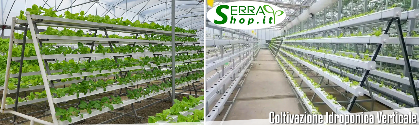 serrashop attrezzatura idroponica aeroponica sistema nft orto verticale coltivazione 9